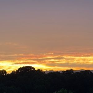 Meet your Posher, Isabel